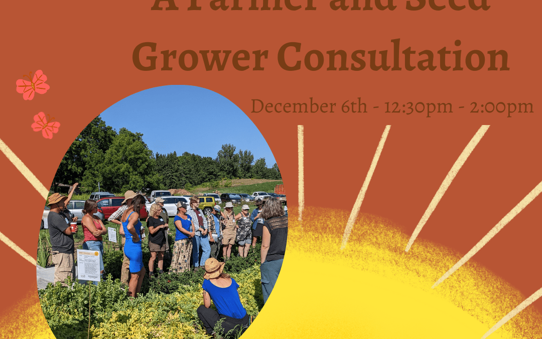 Resilient Seed Systems: A Farmer & Seed Grower Consultation