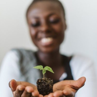 Advanced Digital Marketing for Farmers