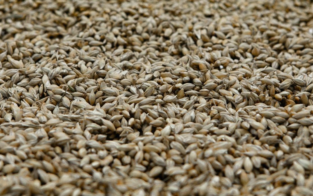 Millers & Distillers: Small Grains Processing in Ontario