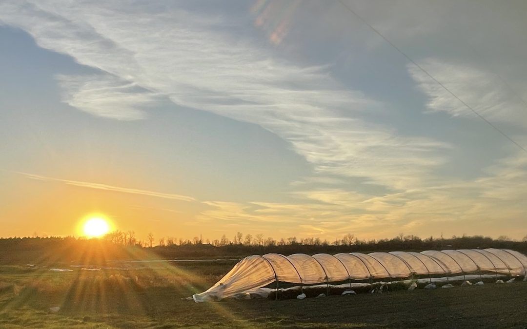Full Program: Ignatius Farm New Farmer Training Program