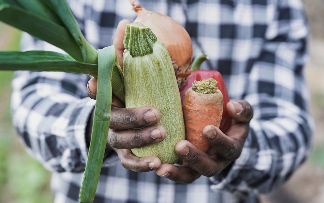 Introduction to Organic Certification