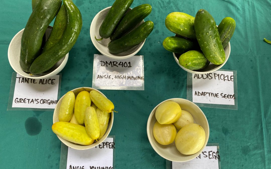 August Seed Growers Meet-up