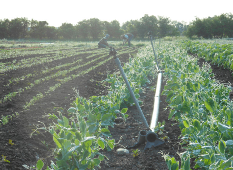 Irrigation Principles