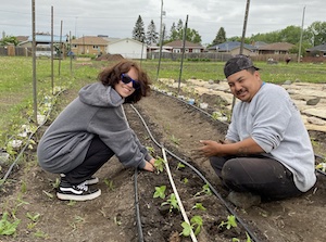 Two smiling people crouch on either side of a bed of transplanted seedlings