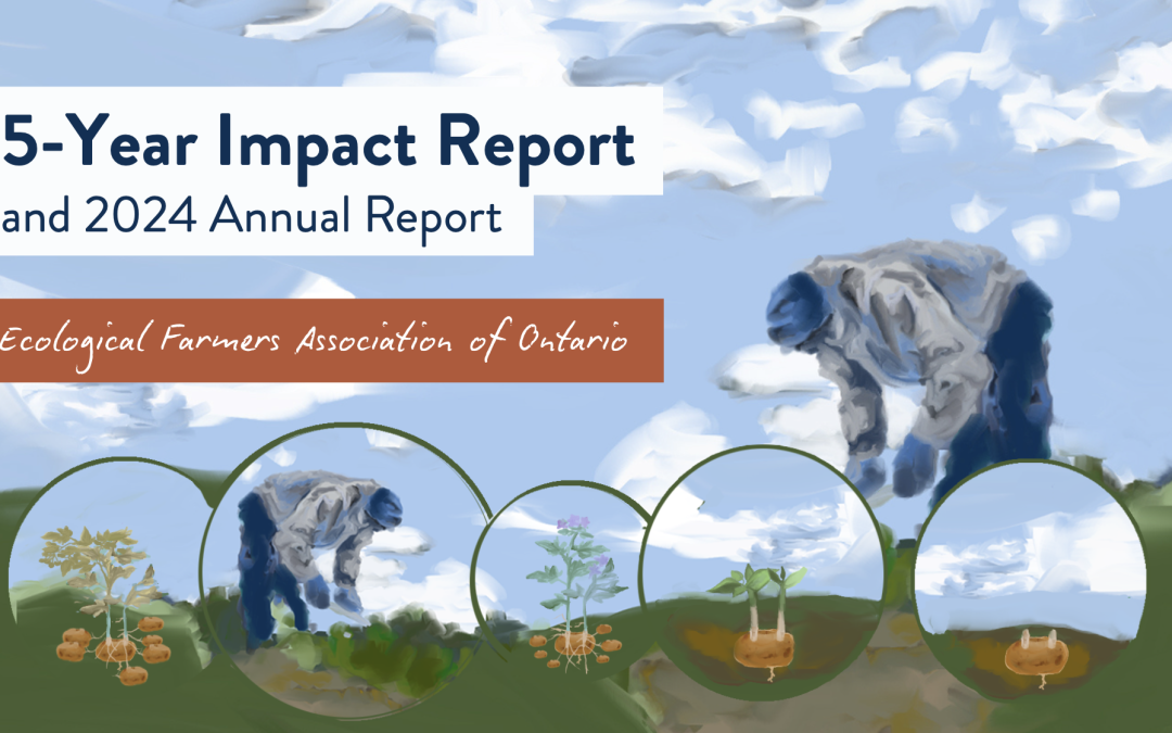 5 Year Impact Report and 2024 Annual Report