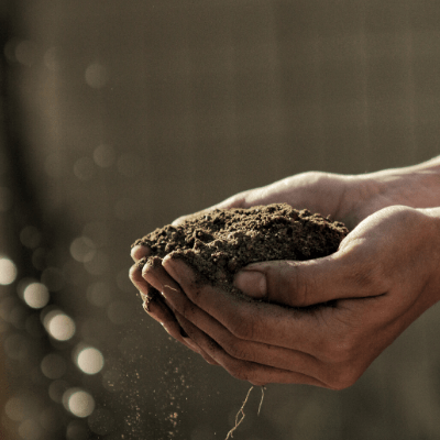 Close up of two hands cupping a pile of soil or compost