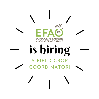 Deadline extended  for EFAO Field Crop Coordinator position
