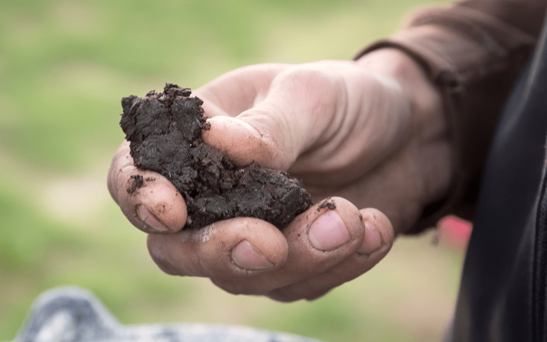 Intro to Biodynamics