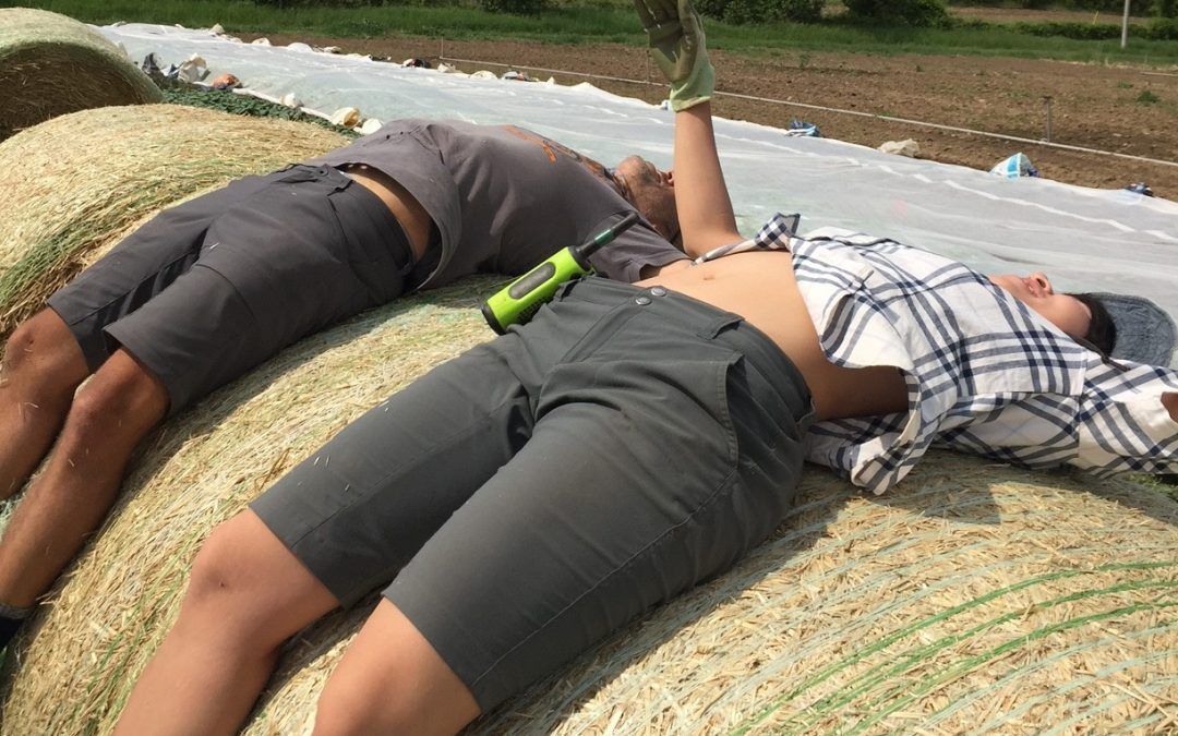 Yoga for farmers: Restoring the nervous system & fascia