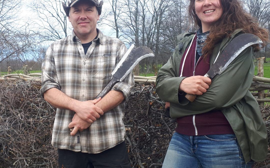 Hedgelaying Theory and Practice Workshop