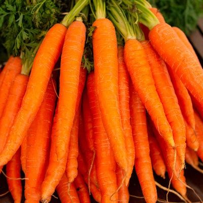 Breeding Carrots for Production, Resilience, Flavour & Fun in Organic Systems