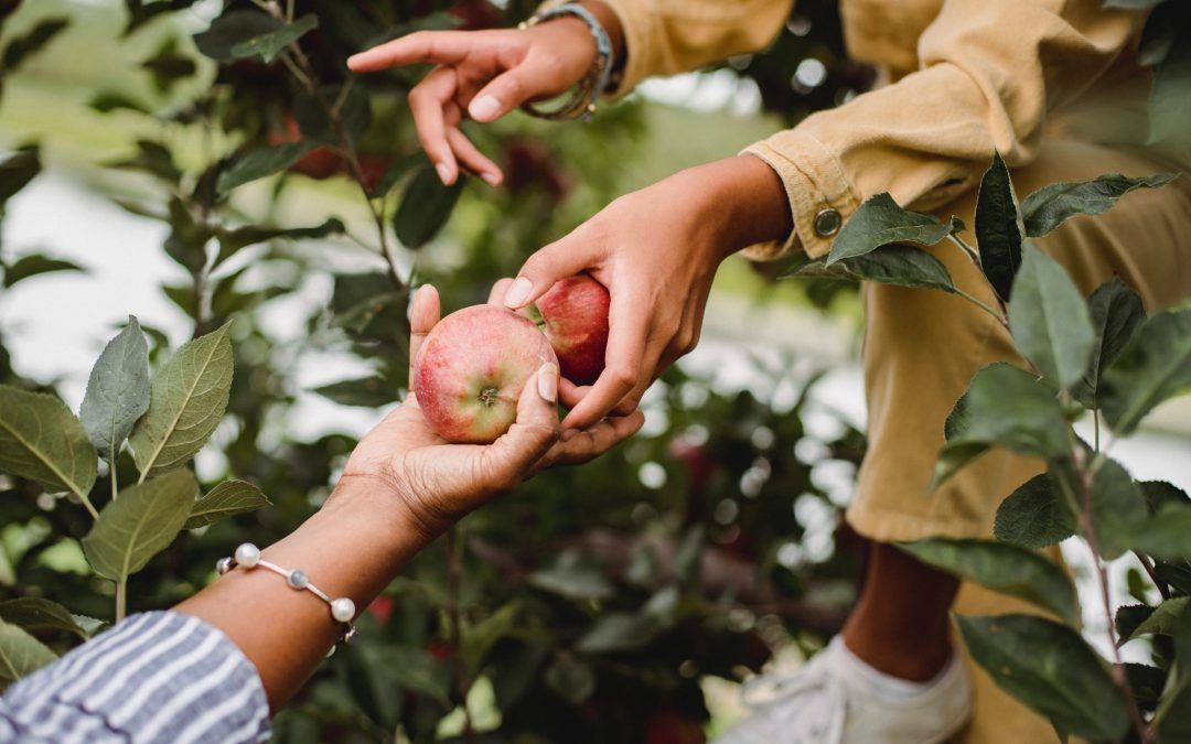 An Introduction to Human Resources for Small-scale Farm Operations