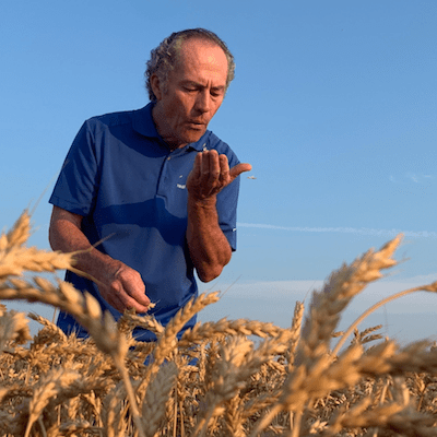 Ask an Agronomist: Planting Spring Small Grains